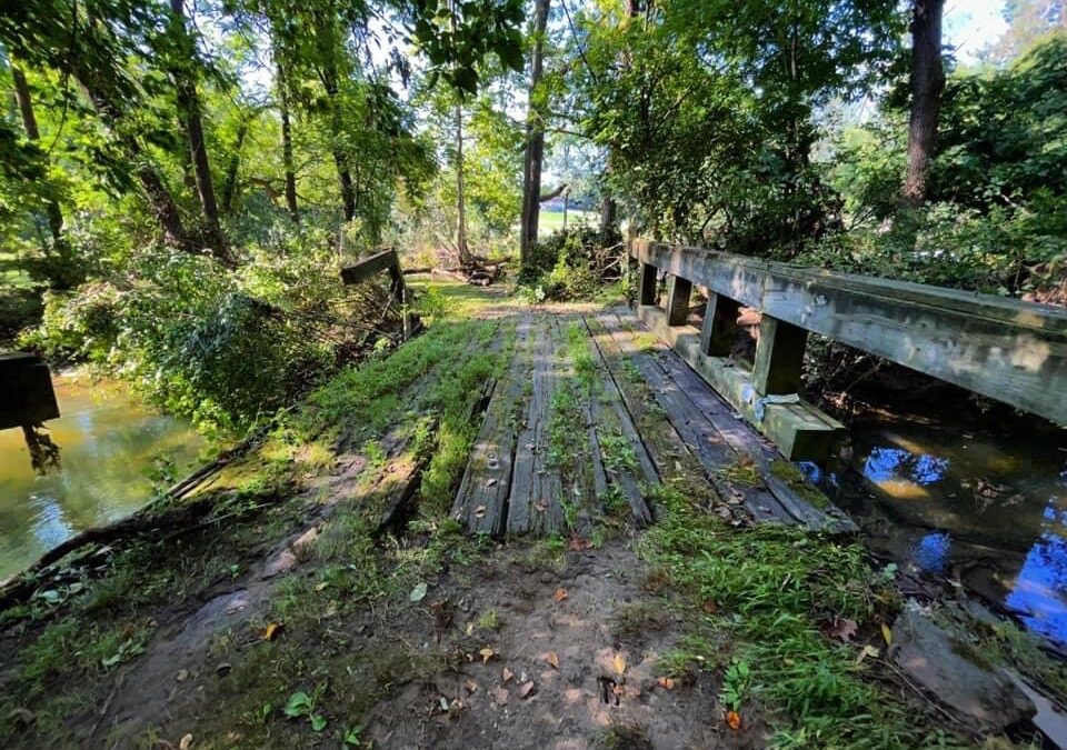 The Man And The Bridge